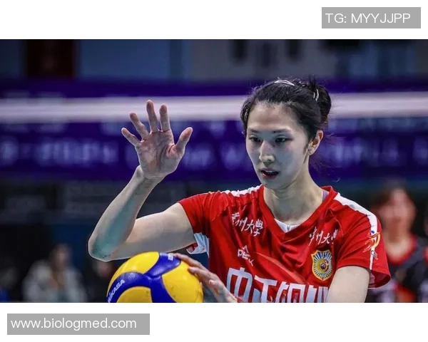 南京排球队实力强劲最新排球力量排行榜前十名揭晓