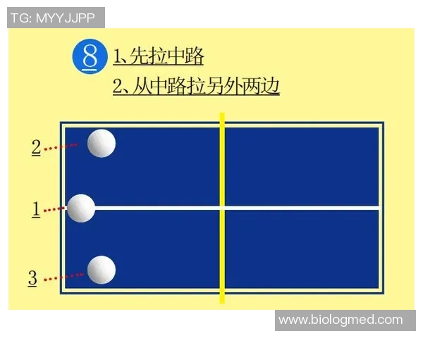 成都乒乓球队的默契配合与战术分析探讨