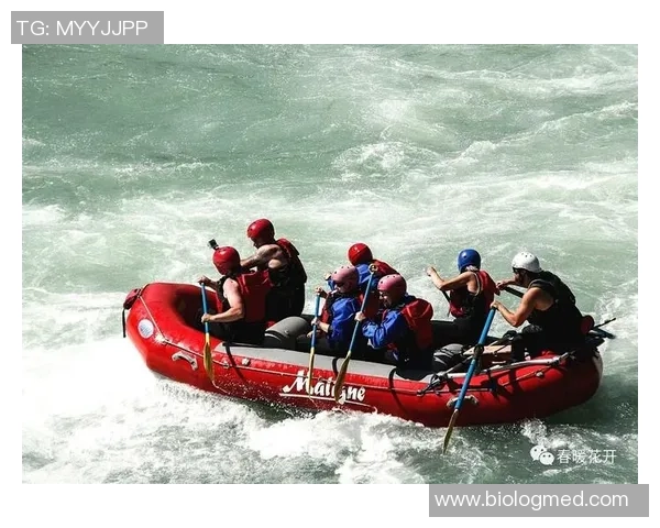 杭州排球队团队协作的成功之道与发展策略探讨 杭州排球队团队协作的成功之道与发展策略探讨